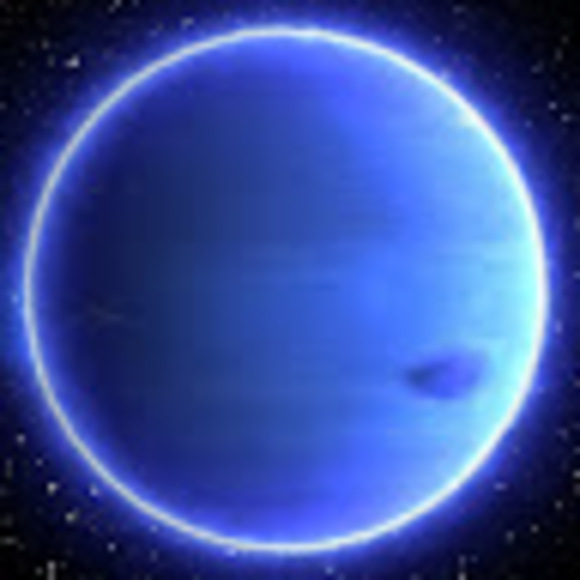 Meet your Posher, Chanel - Picture 1 of 1